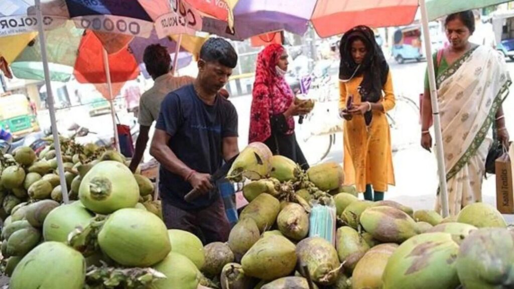 नारियल पानी व्यापार की शुरुआत कैसे करें: क्रमवार गाइड
