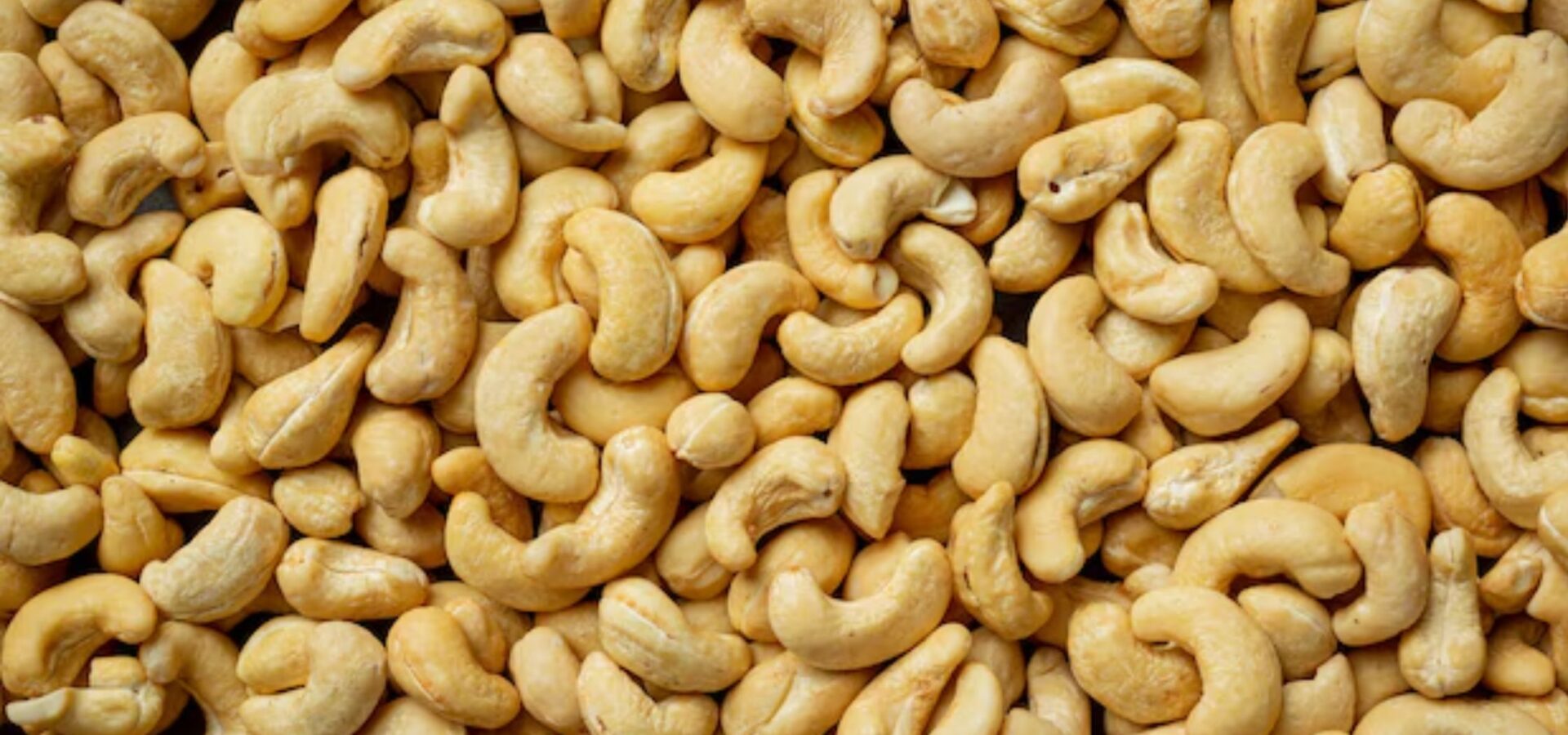 काजू का बिजनेस शुरू करें